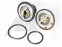 ~(1 lbs. 6X6X4)~ Thermostat Kit 2001+