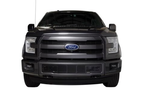 2015-2017 Ford F-150 - Stainless Steel Black Bar Design