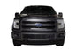 2015-2017 Ford F-150 - Stainless Steel Black Bar Design